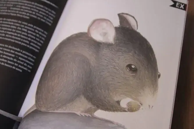 O livro vermelho Um Livro Infantil Sobre Animais em Extinção